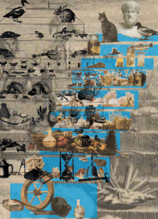 Nach: Mark Dion, scala naturae, 1994.