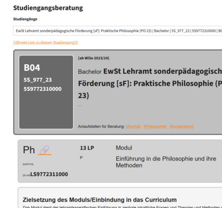 Nach der Auswahl eines Studienganges wird die Modulstruktur dargestellt. Das Bild enthält ein Beispiel.