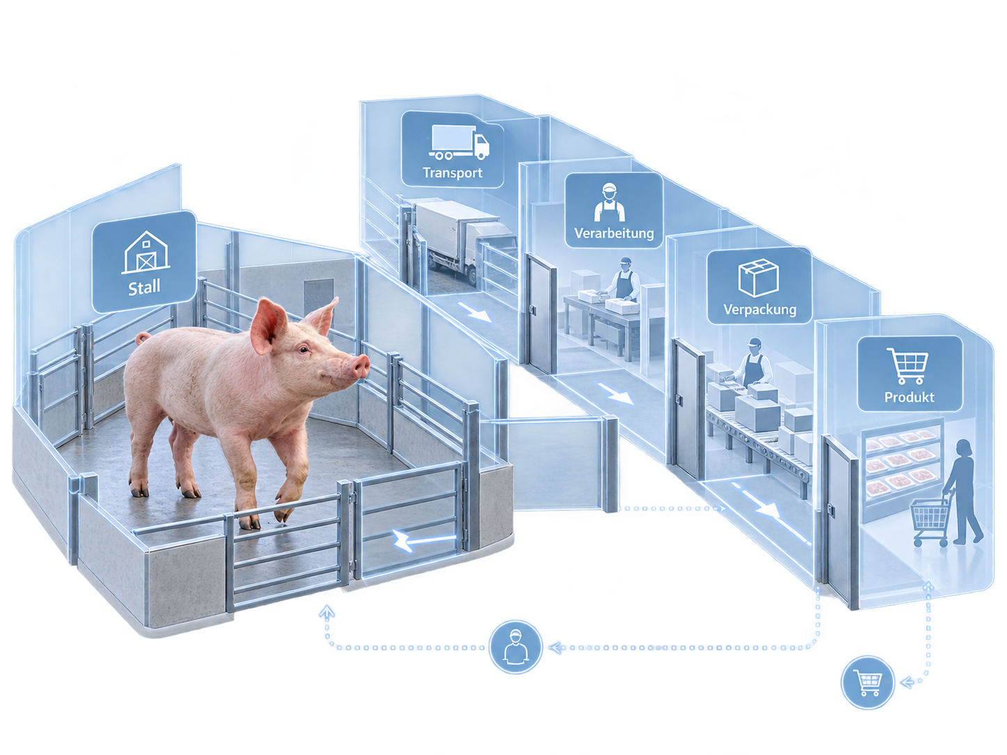 Transparente räumliche Darstellung einer Produktionskette mit einem Schwein im Bereich „Stall“ und getrennten Stationen „Transport“, „Verarbeitung“, „Verpackung“ und „Produkt“, verbunden durch Wege und Pfeile.