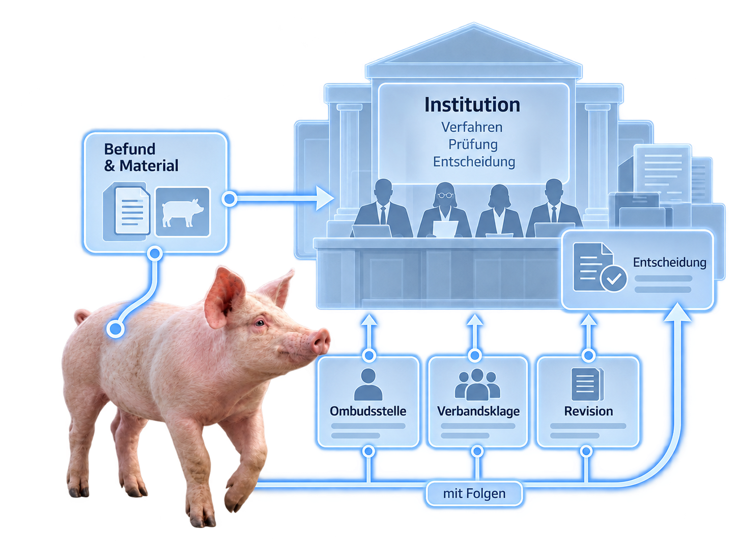 Schwein neben einer schematischen Institution mit Ausschuss, Dokumenten und Entscheidungsfeld; Pfeile verbinden „Befund & Material“ mit „Ombudsstelle“, „Verbandsklage“ und „Revision“ und führen zurück in das Verfahren.